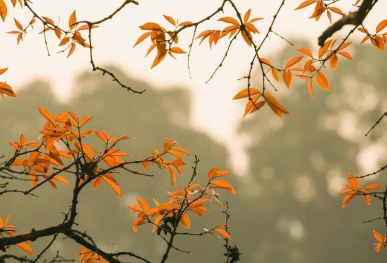 让人惊艳的句子文案