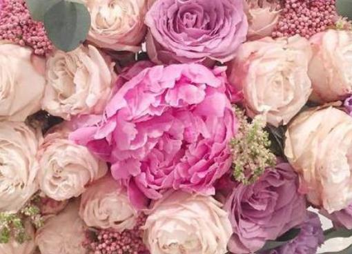 最简单的祝福语一句话