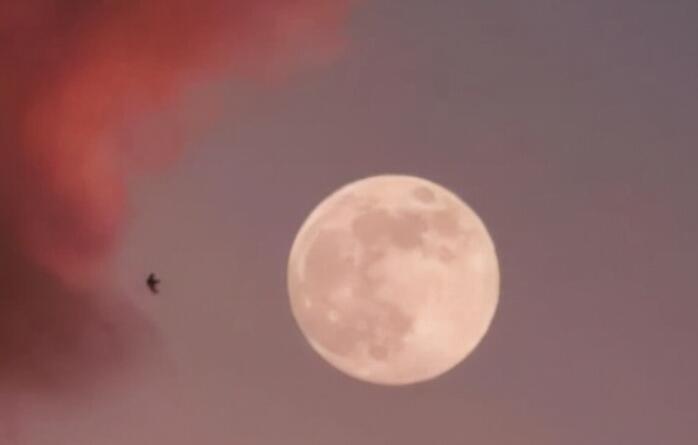 表达自己要离开的说说文案