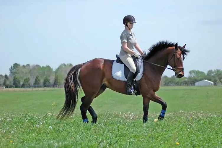 骑马的唯美句子文案