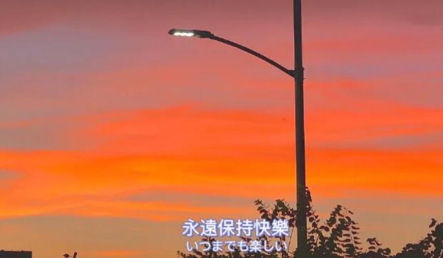 温柔的文案句子长