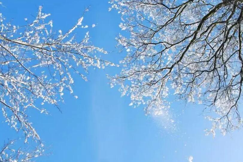 描写大雪的优美句子文案