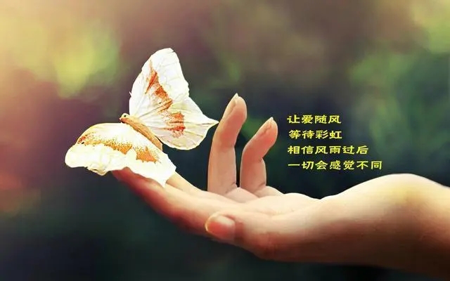 勇于担当的名言短句子文案