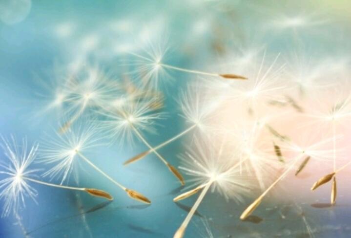 善待别人等于善待自己的句子文案