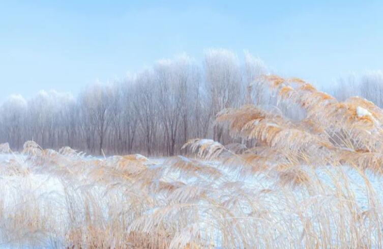 描写冬天的古诗小学