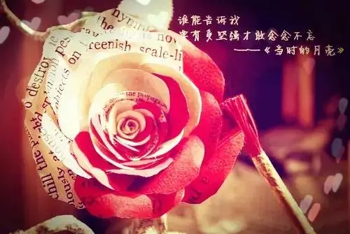 形容女人有范的句子文案