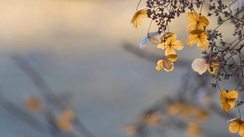 岁月洗礼唯美句子文案