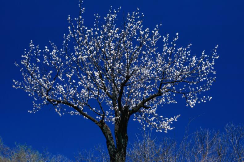 名人哲理经典语录文案