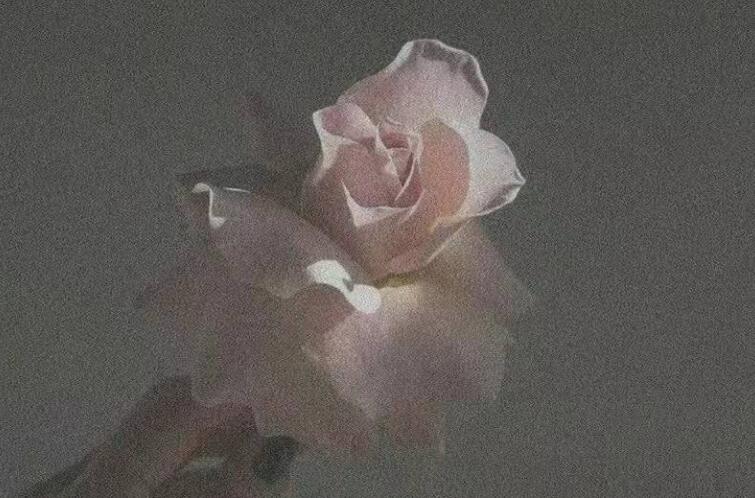 突然之间很伤感的句子文案