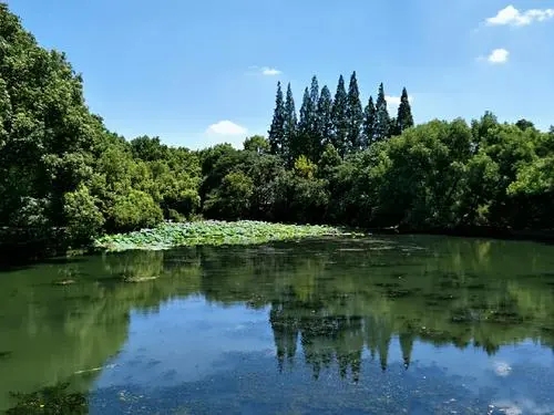 形容湖面水平如镜的诗句文案