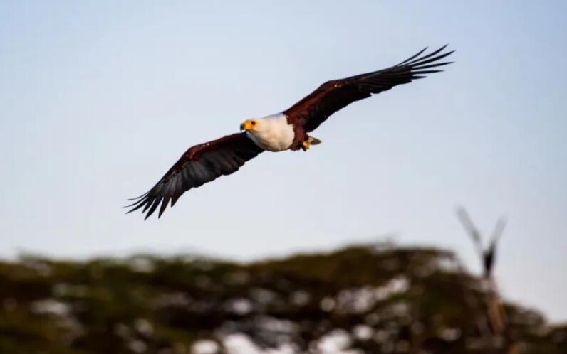 激励人心的诗句文案经典
