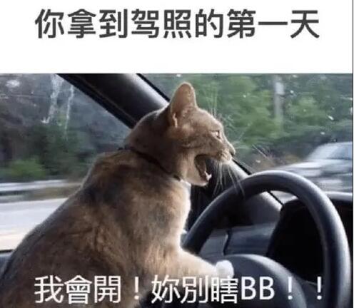 朋友圈打广告的幽默话