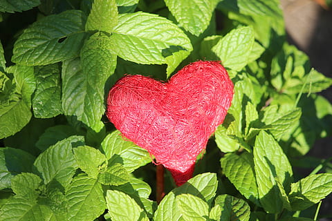 数字情话文案表白1314