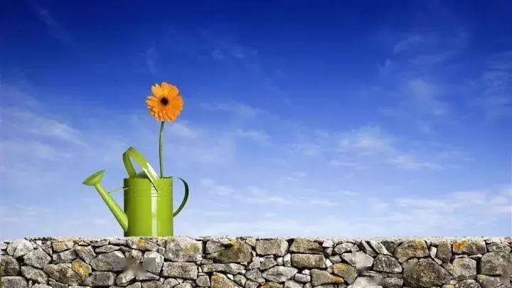 心疼最好朋友的句子文案