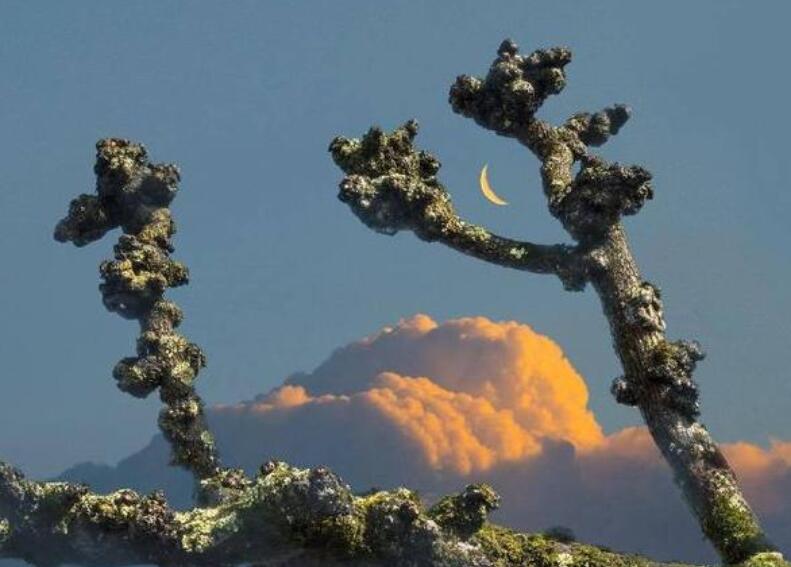 心里有阳光的句子文案说说心情短语