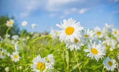 失眠正能量的句子文案