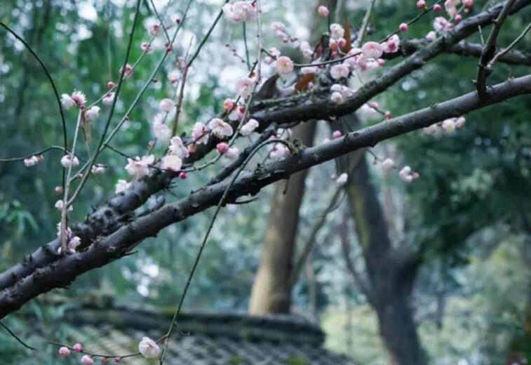 初中读书笔记大全摘抄