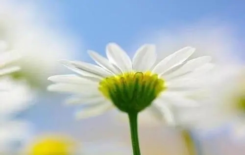 挫折的励志句子文案