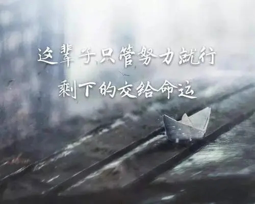 抖音努力变优秀的句子文案