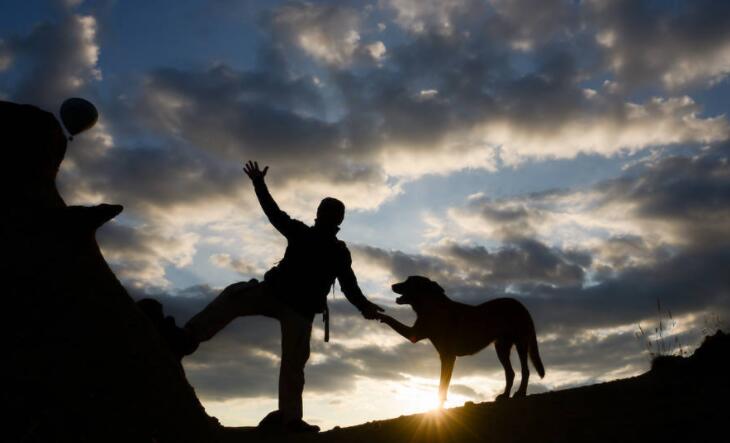 揭露人性丑恶的句子文案