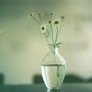 什么是鸡汤语录文案