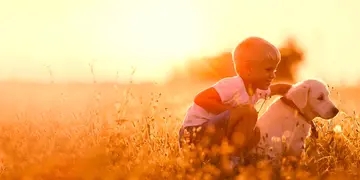 说给朋友听的带刺高冷短句