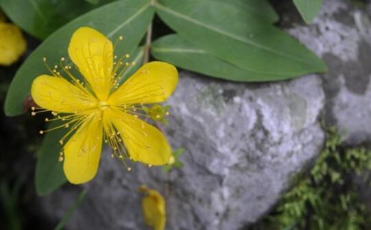 失眠的短句朋友圈