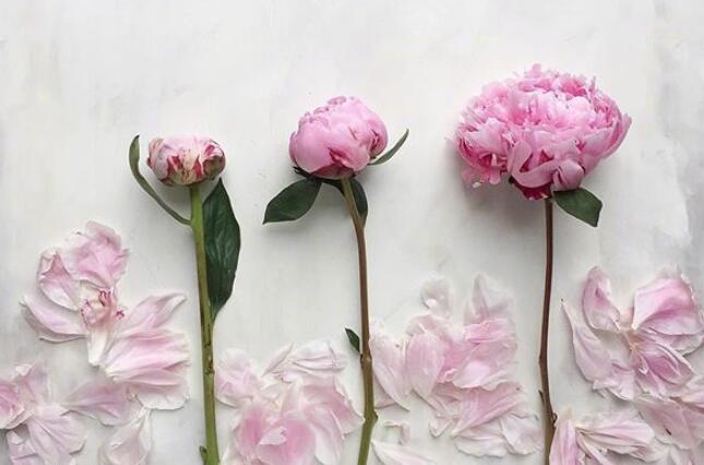 励志的名人名言