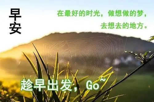 最暖心的周末早安问候