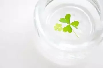 正能量感恩语录文案配图