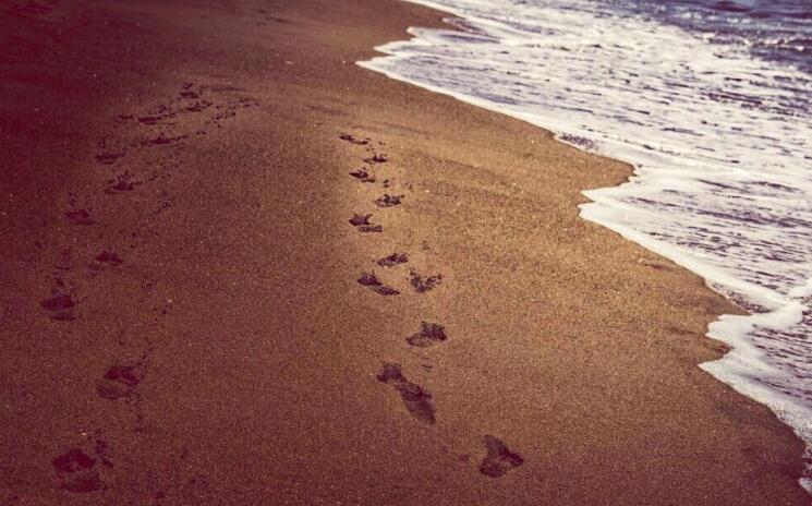 成长的足迹优美句子文案