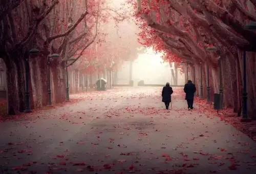 缘分很微妙的句子文案