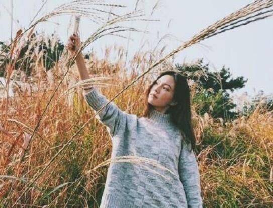 催人泪下的伤感的段子文案