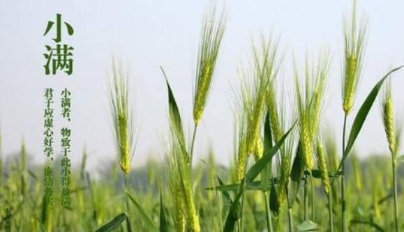 描写二十四节气的诗词