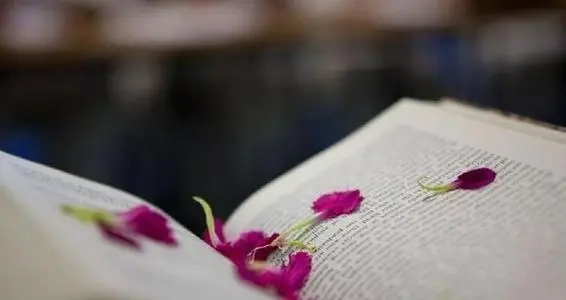 人还得靠自己的诗句文案