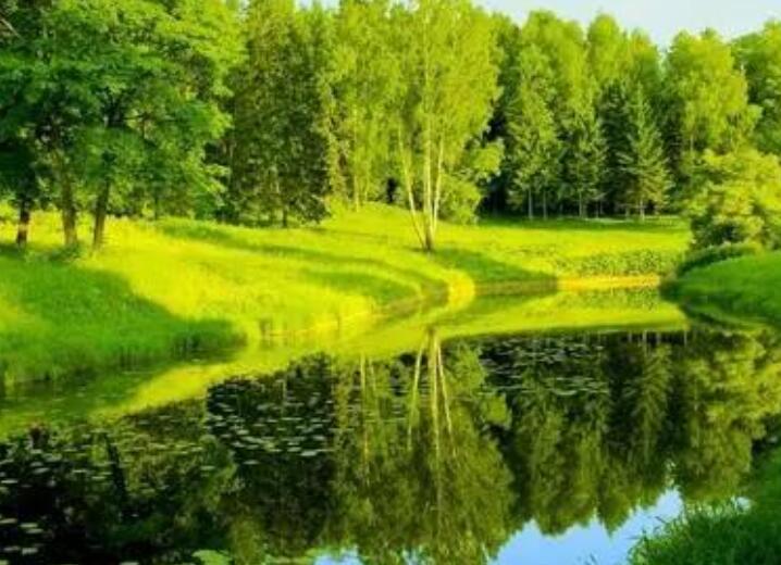 关于环境描写的好句文案