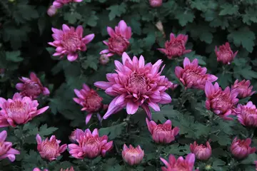 描写福州的经典句子文案