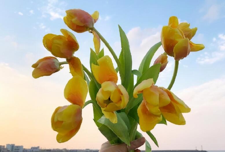 女人致自己2024年的唯美句子文案