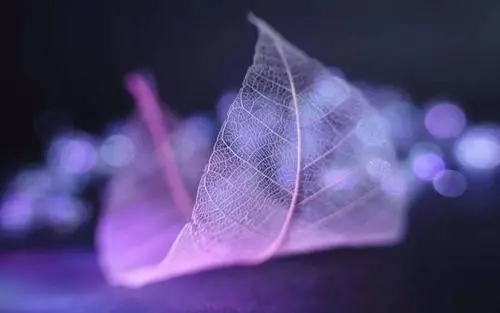 纯净美好的句子文案