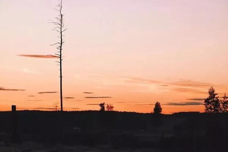 信任一旦被摧毁的语录文案