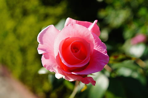 风很凉心很冷的说说文案