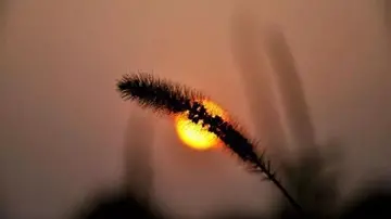 抖音上火的励志句子文案