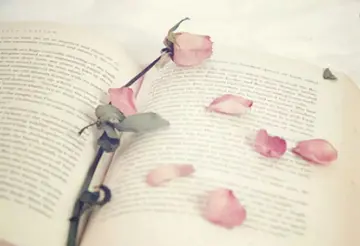 晚分享工作激励简短的话