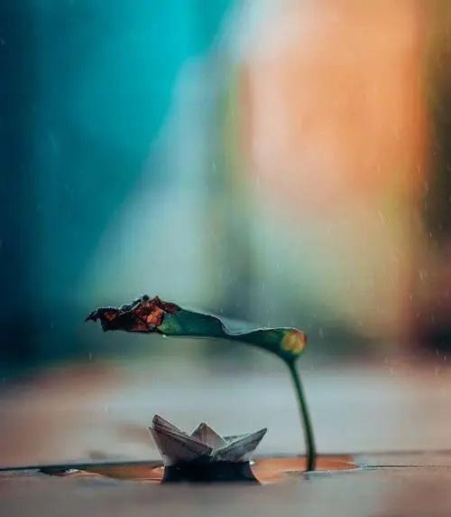 形容雨天景色优美的句子文案