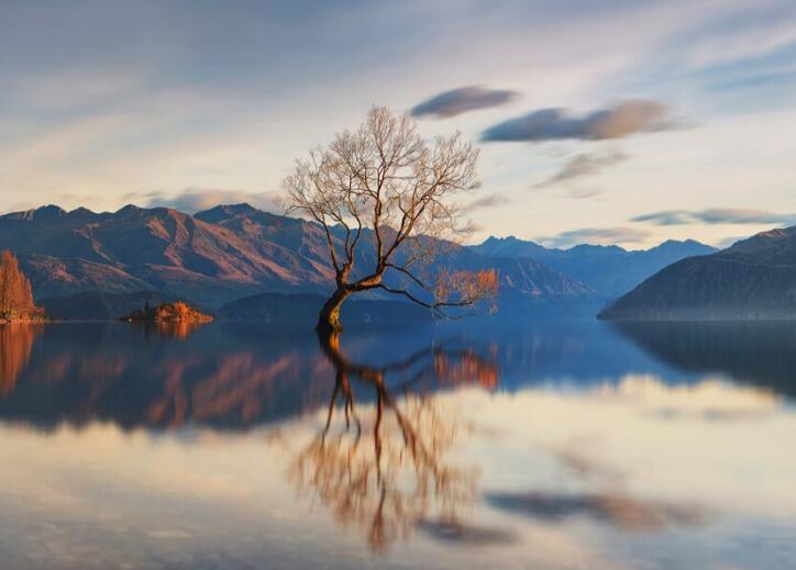 吸引人的情话文案标题