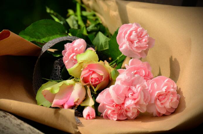 给同学的生日祝福语