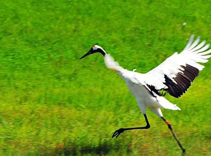 从此学会隐藏悲伤句子文案