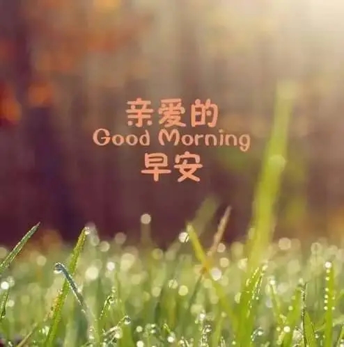 恋人简短早安的句子文案