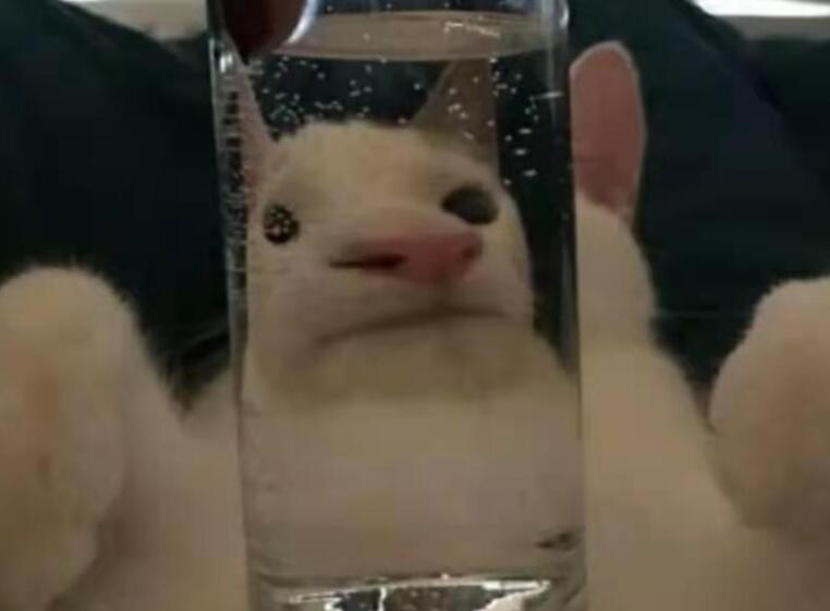 抑郁句子文案长句