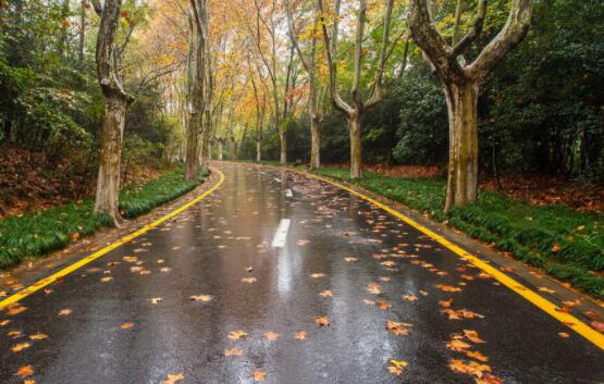 形容下雨的句子文案